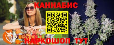 дмт Кингисепп