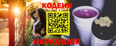 дмт Кингисепп