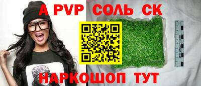 дмт Кингисепп
