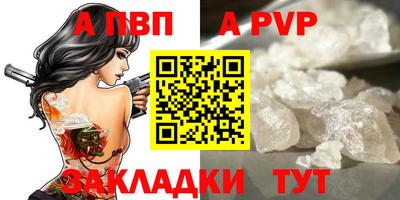 дмт Кингисепп