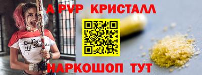 дмт Кингисепп