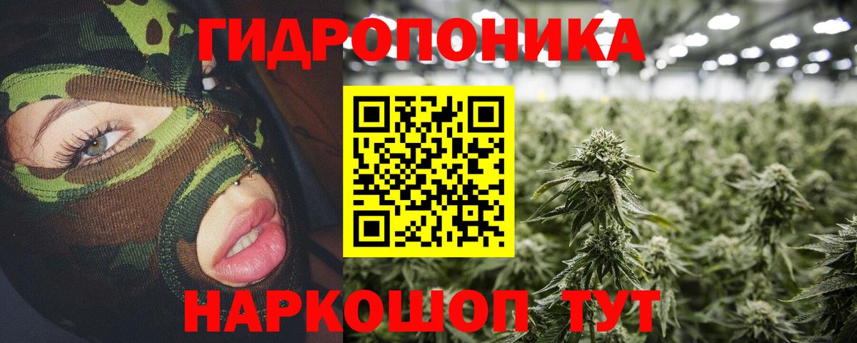 Канабис OG Kush Костомукша